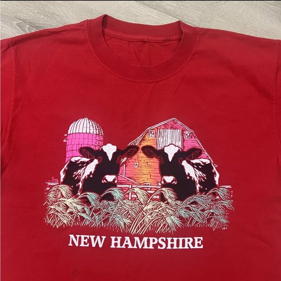 Vintage 1990s Medium Holstein Cows Short Sleeve Graphic Print Tee New Hampshire - Picture 2 of 7